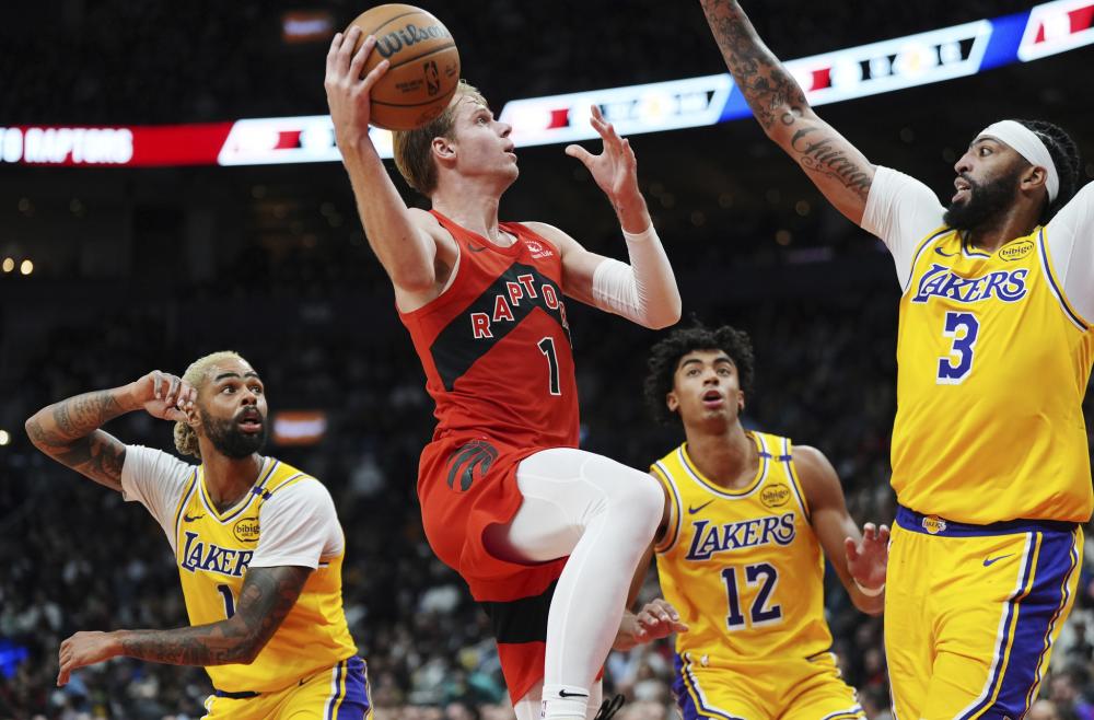 训出身或签 训出身或签